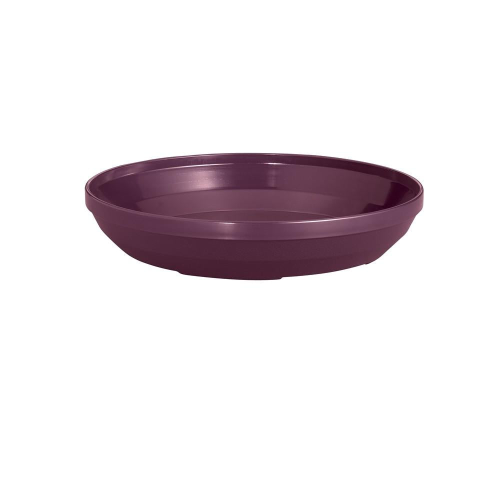 PLATO TERMOAISLADA 24.9 cm