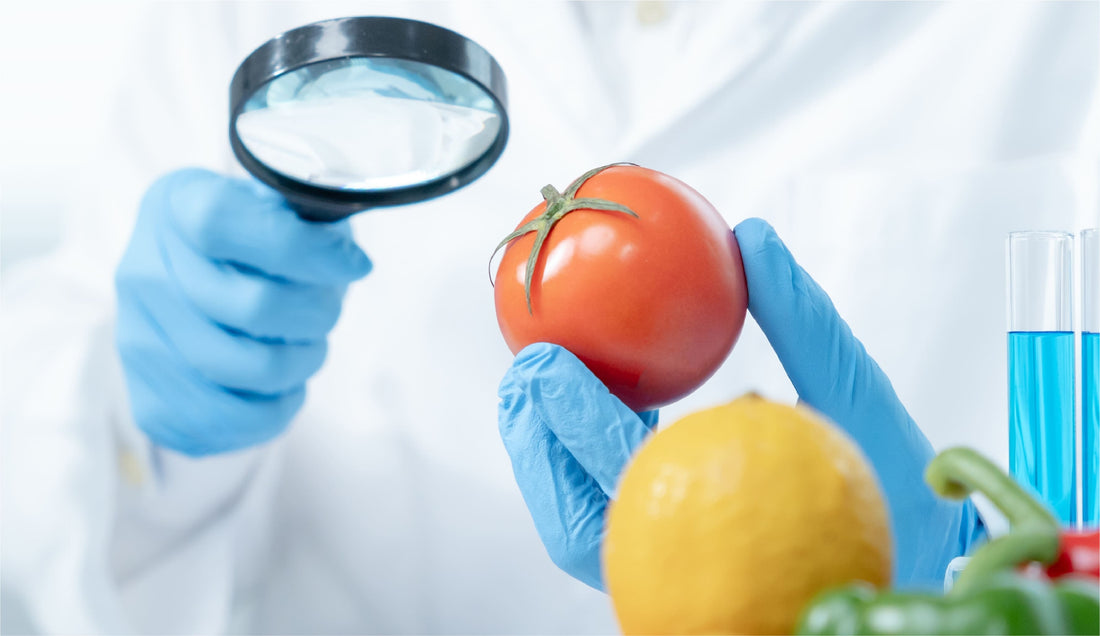 Conoce el Sistema HACCP