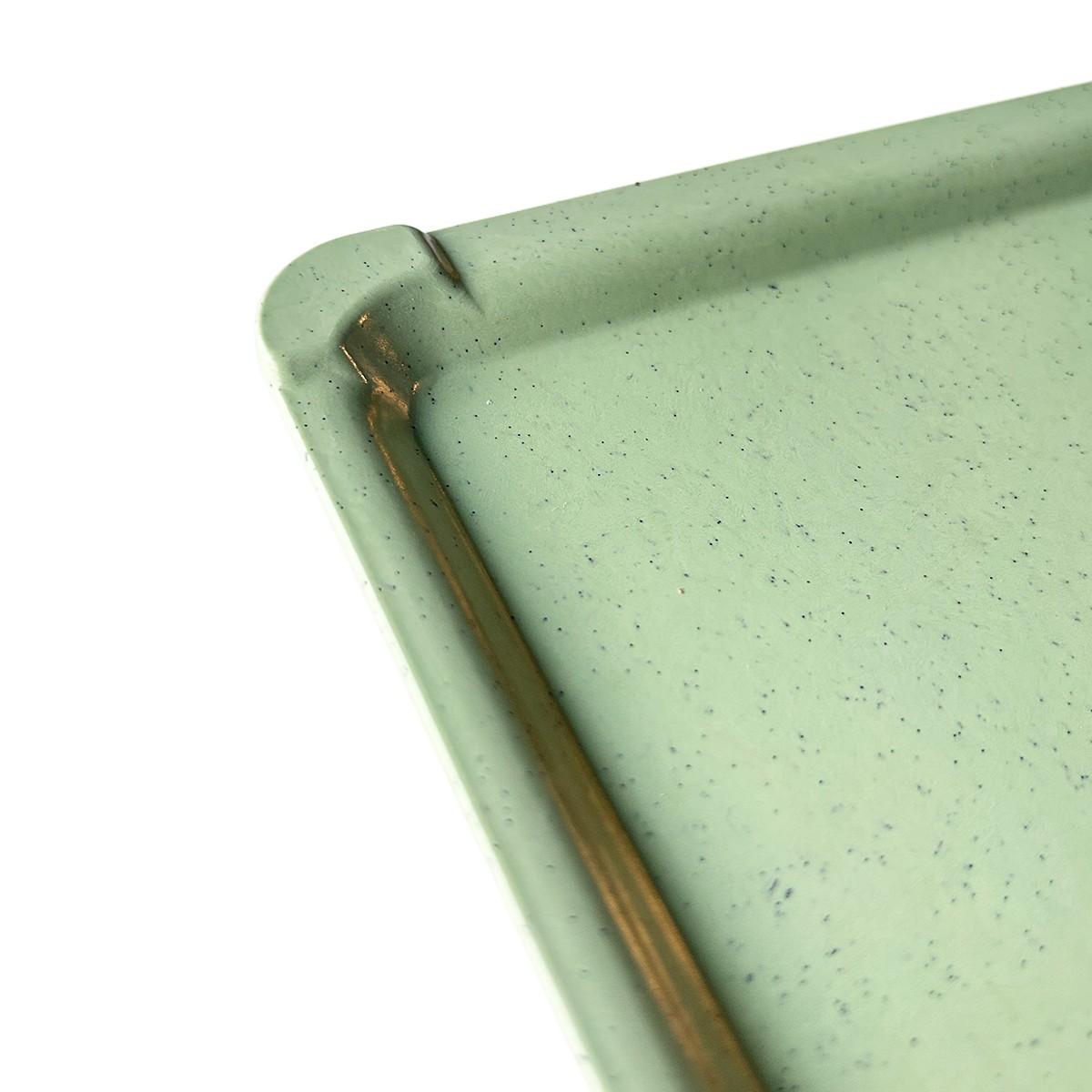 Bandeja Para Paciente 35,5 X 53 Cm Verde