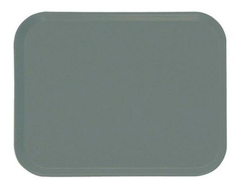 Bandeja Fibra Vidrio Color Gris 30 x40 Cm