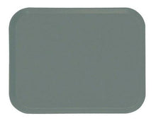 Bandeja Fibra Vidrio Color Gris 30 x40 Cm