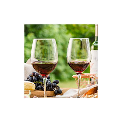 Copa Degustación 490 Ml Barone