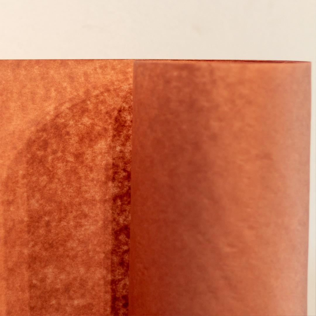Rollo Papel Carnicero 61Cm x 53 Mt.