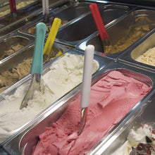 Envase Para Helados 5.5 Lts